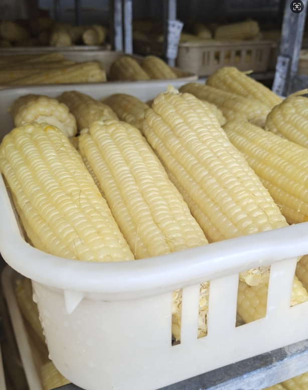 Corn