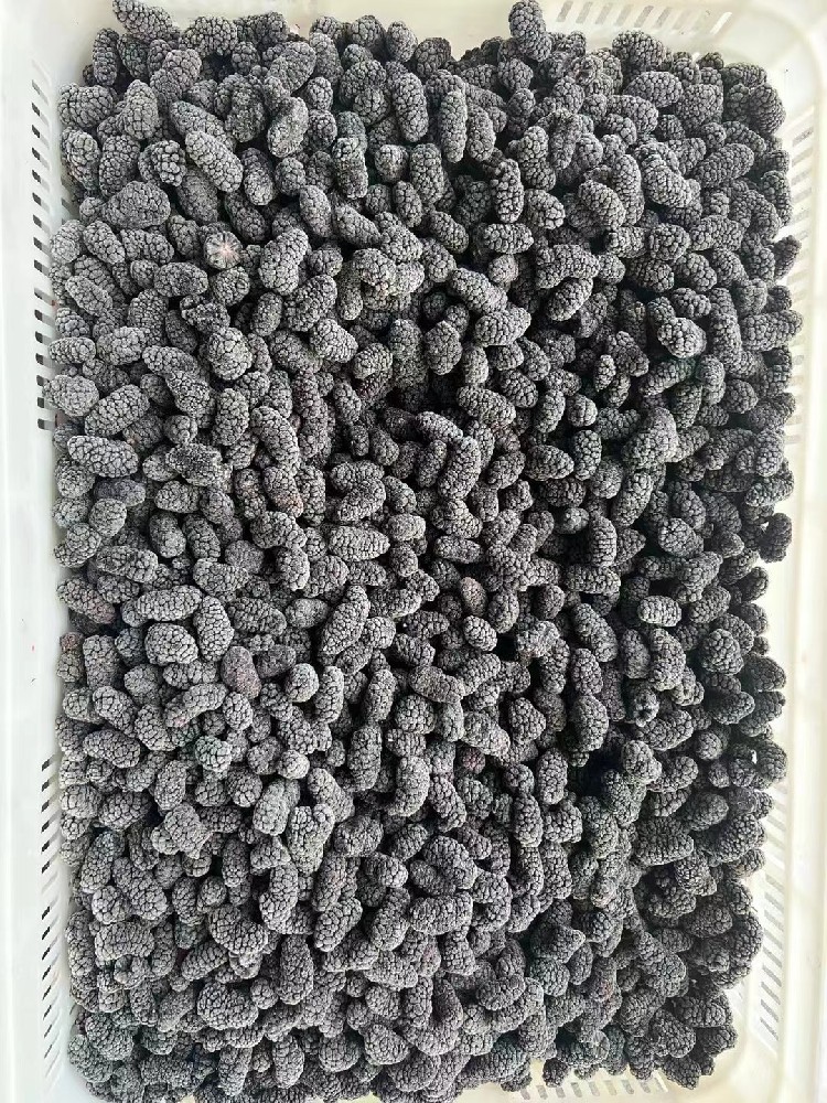 Mulberry.jpg