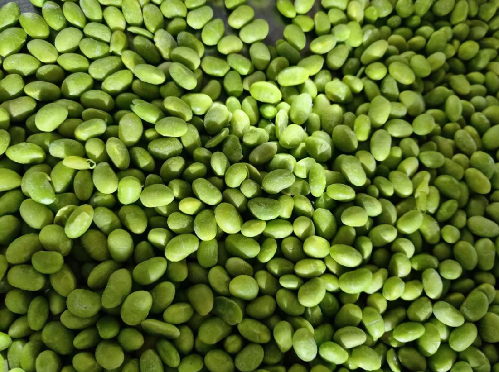 Soybean